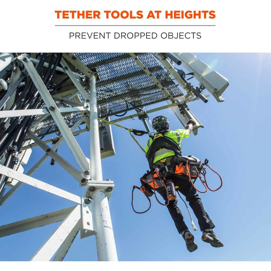 Tenacious Holdings, Inc Squids 19012 Squids 3100 Single Carabiner Tool Lanyard - 10lbs