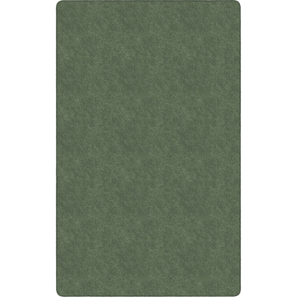 Flagship Carpets, LLC Flagship Carpets TS80SG Flagship Carpets Amerisoft Solid Color Rug