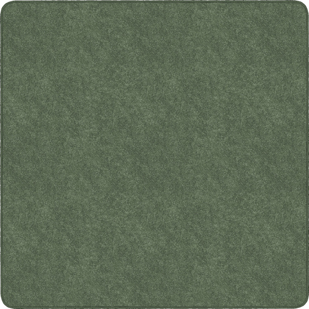 Flagship Carpets, LLC Flagship Carpets TS26SG Flagship Carpets Amerisoft Solid Color Rug