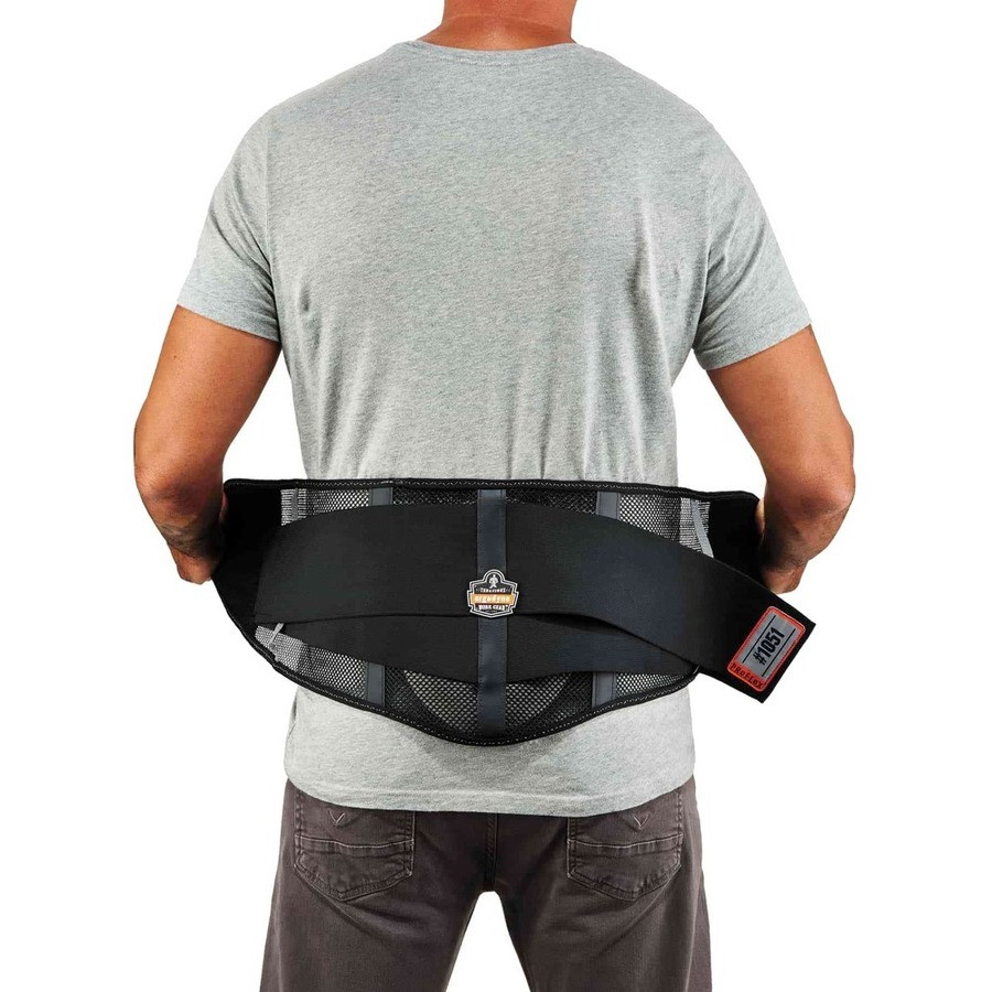 Tenacious Holdings, Inc Ergodyne 20187 Ergodyne ProFlex 1051 Mesh Back Support with Lumbar Pad