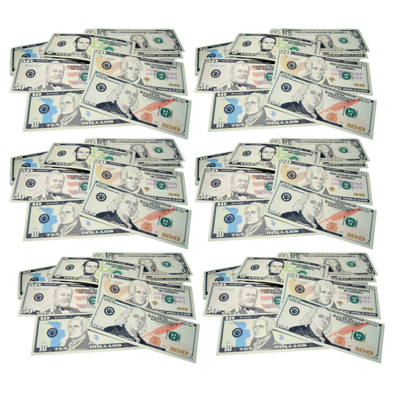 TEACHER CREATED RESOURCES Teacher Created Resources® Play Money: Assorted Bills, 110 Per Pack, 6 Packs