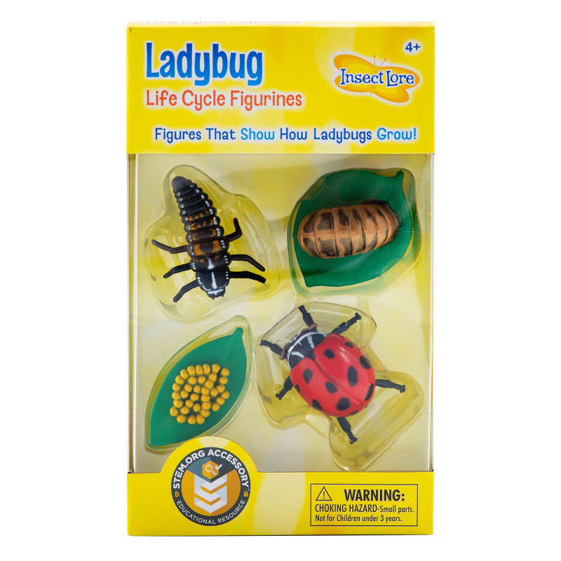 INSECT LORE Insect Lore Ladybug Life Cycle Stages