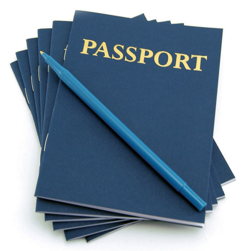 HYGLOSS PRODUCTS INC. Hygloss® My Passport Books, Pack of 24