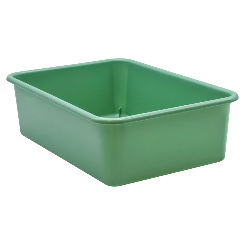 TEACHER CREATED RESOURCES Teacher Created Resources® Eucalyptus Green Large Plastic Storage Bin