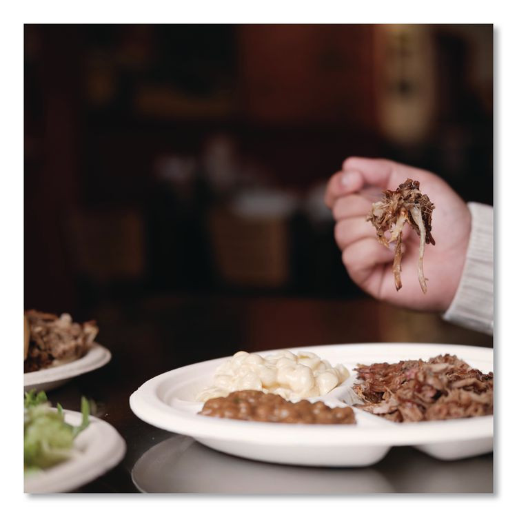 DART 10FBRP3 Compostable Molded Fiber Dinnerware, ProPlanet Seal, 3-Compartment Plate, 10.2" dia, Natural, 500/Carton