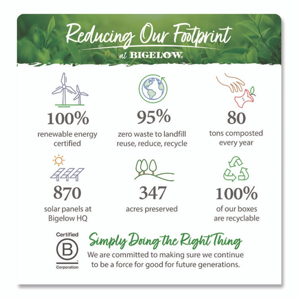 KEURIG DR PEPPER Bigelow® 39004 Botanicals Watermelon Cucumber Mint Cold Water Herbal Infusion, 0.7 oz Tea Bag, 18/Box