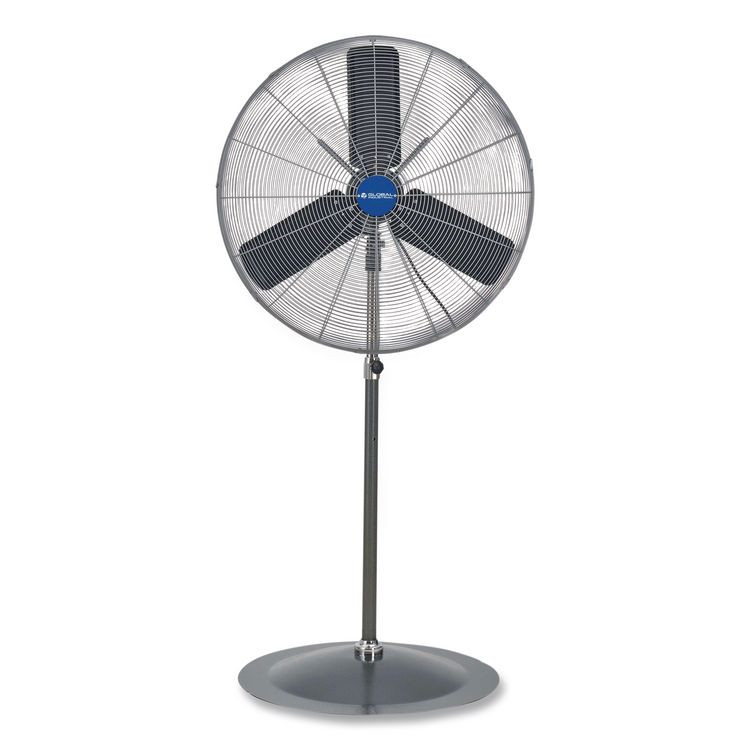 GLOBAL INDUSTRIAL 585280 Oscillating Pedestal Fan, 30", 3-Speed, Gray