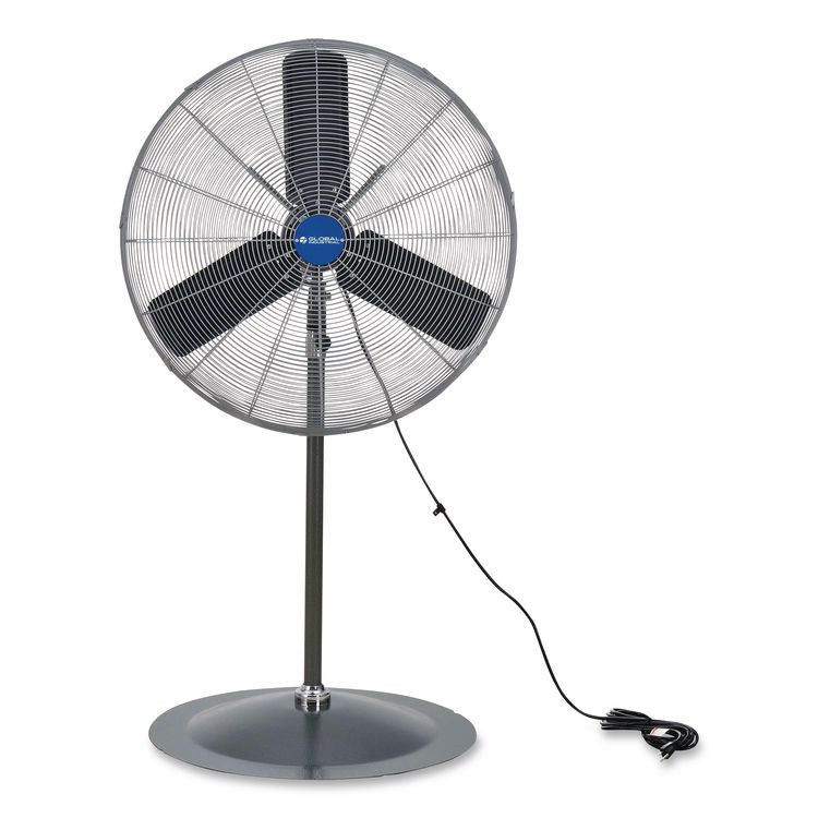 GLOBAL INDUSTRIAL 585280 Oscillating Pedestal Fan, 30", 3-Speed, Gray