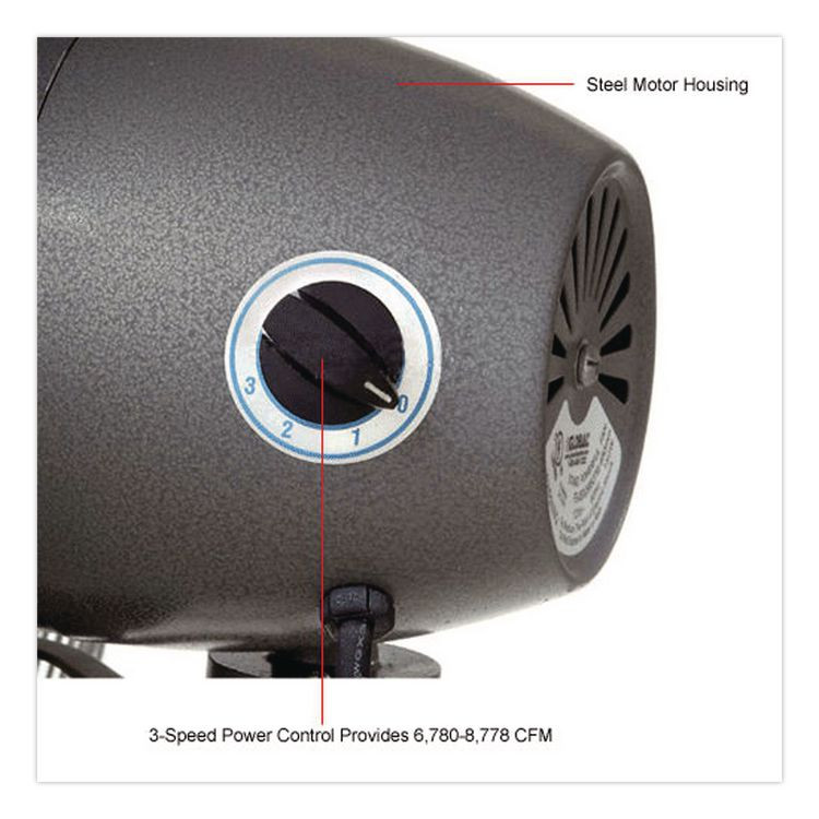 GLOBAL INDUSTRIAL 585280 Oscillating Pedestal Fan, 30", 3-Speed, Gray