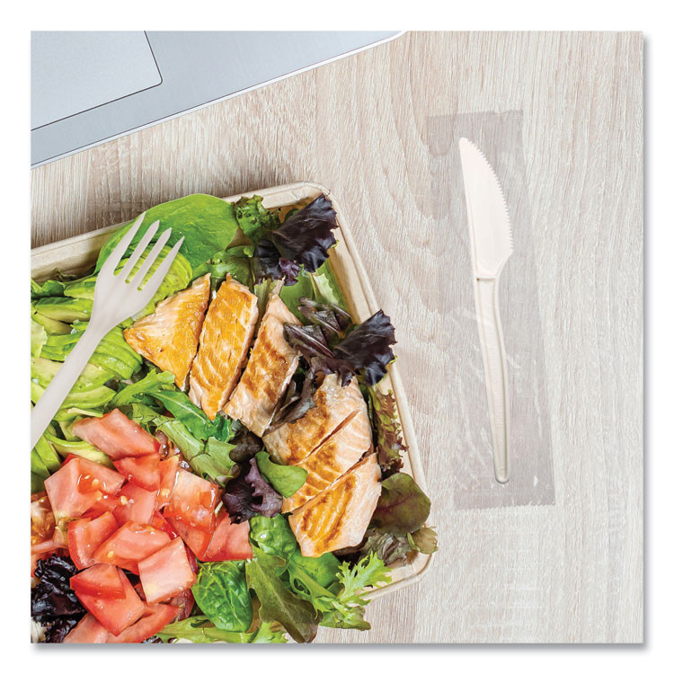 WNA, INC. EPS071 EcoSense Renewable Plant Starch Cutlery, Individually Wrapped, Mediumweight Knife, Plastic, Natural, 750/Carton