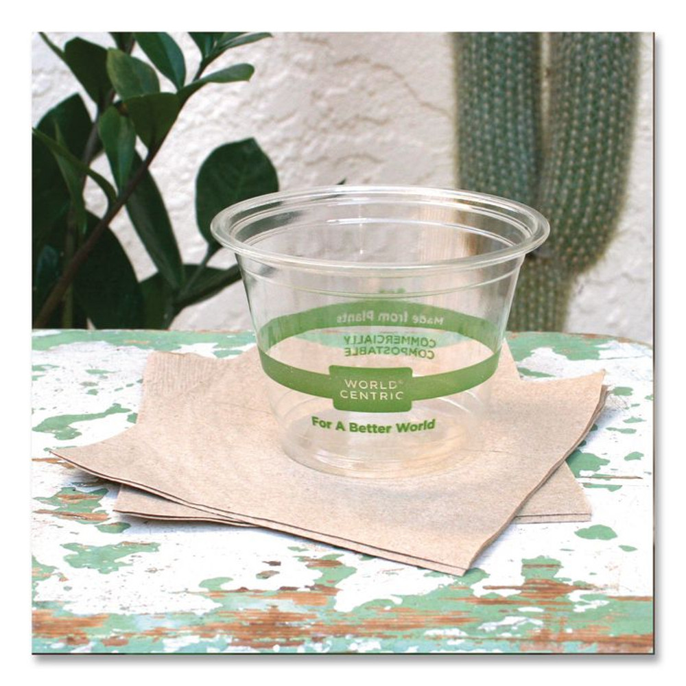 WORLD CENTRIC CPCS9Q PLA Clear Cold Cups, 9 oz, Plastic, Clear, 1,000/Carton