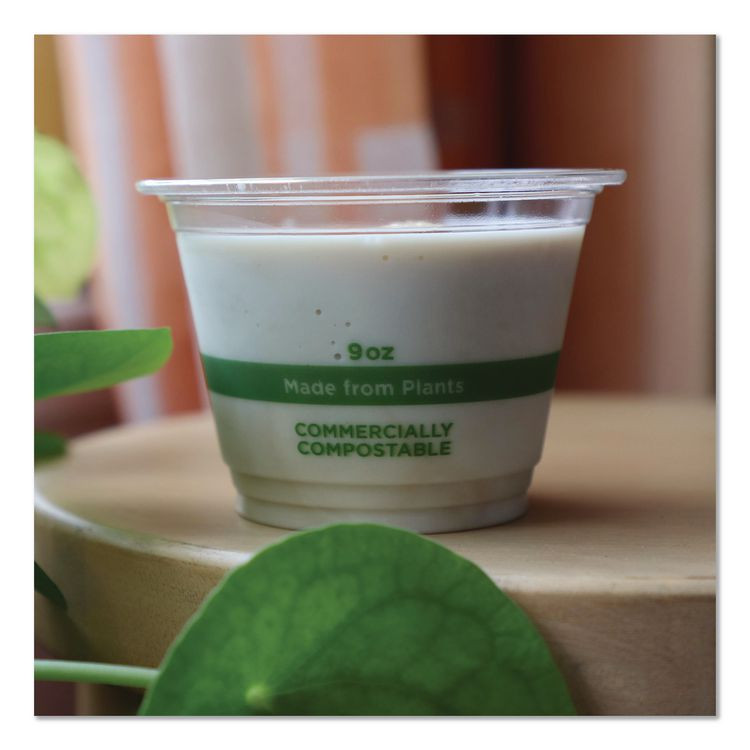 WORLD CENTRIC CPCS9Q PLA Clear Cold Cups, 9 oz, Plastic, Clear, 1,000/Carton