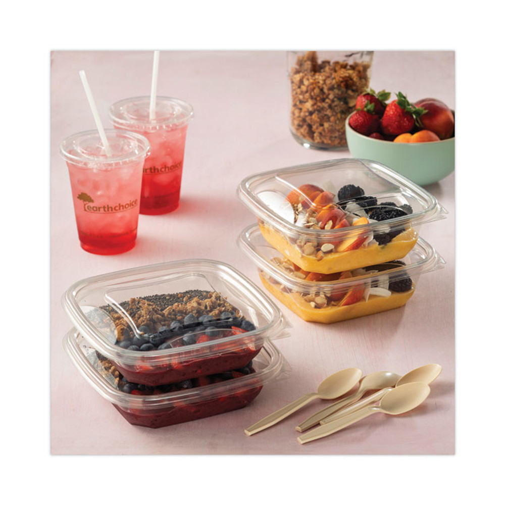 PACTIV EVERGREEN CORPORATION SACLD07 EarthChoice Recycled PET Container Lid, For 24-32 oz Container Bases, 7.38 x 7.38 x 0.82, Clear, Plastic, 300/Carton