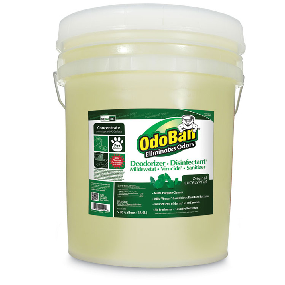 CLEAN CONTROL CORPORATION OdoBan® 911062-5G Concentrated Odor Eliminator and Disinfectant, Eucalyptus, 5 gal Pail