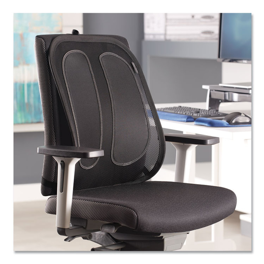 FELLOWES MFG. CO. 9191301 Office Suites Mesh Back Support, 17.3 x 5.56 x 20.18, Black