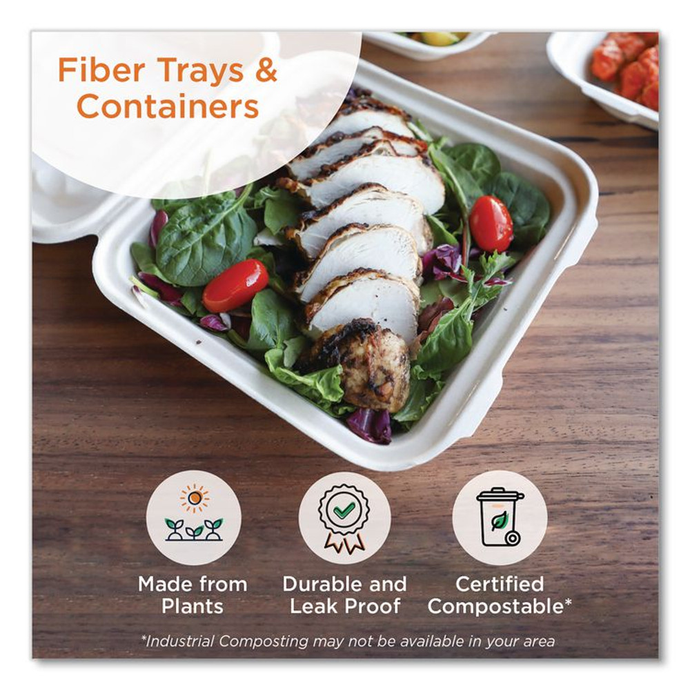 WORLD CENTRIC TOSCU9LFP Fiber Hinged Takeout Containers, 9.2 x 9.1 x 3.2, Natural, Paper, 300/Carton