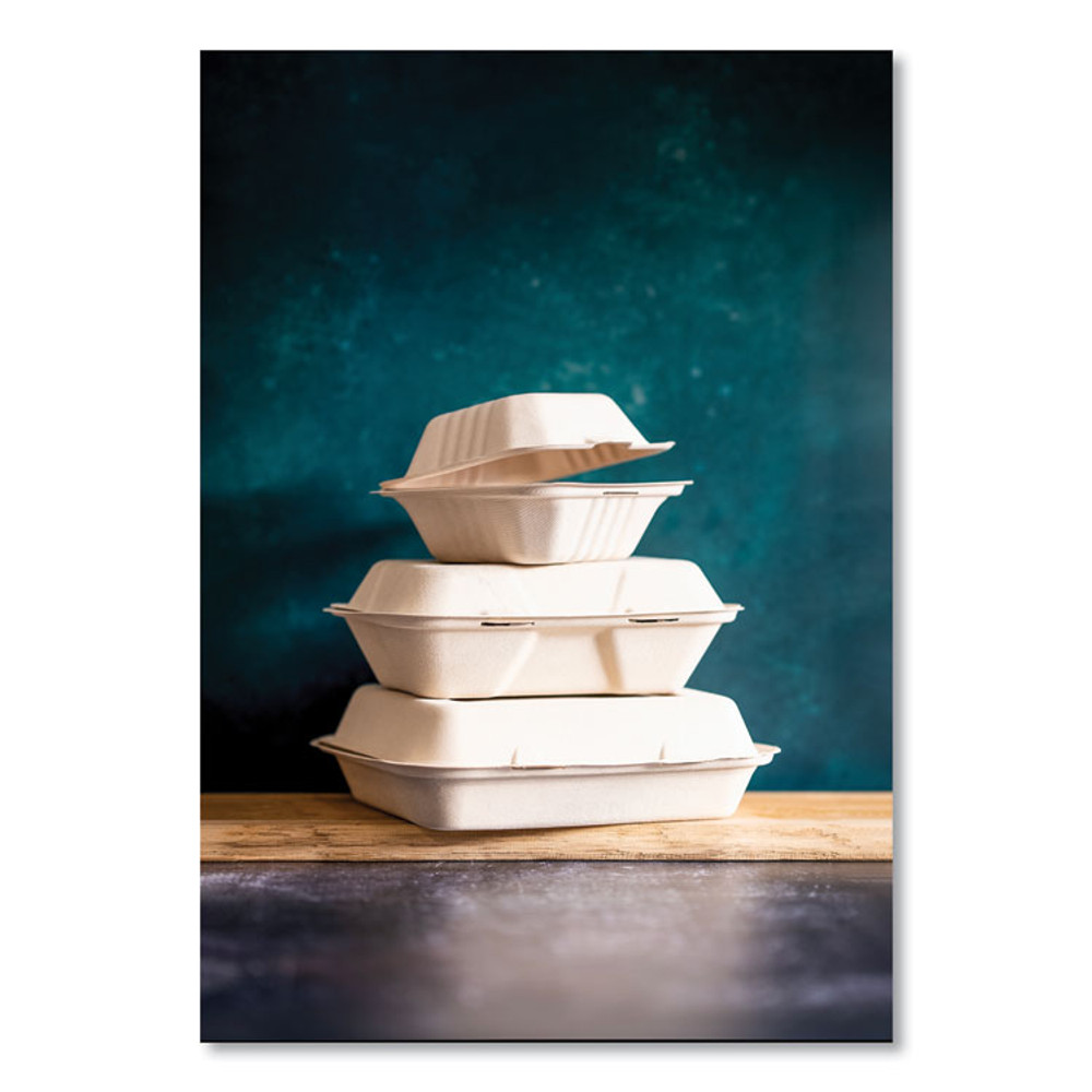 VEGWARE WHBRG9HW White Molded Fiber Clamshell Containers, Compostable, 9 x 9 x 3, White, Sugarcane, 200/Carton