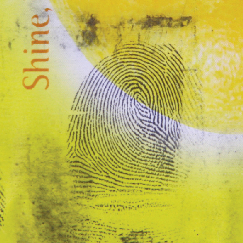 Lightning Powder 1003946 Magnetic Powder