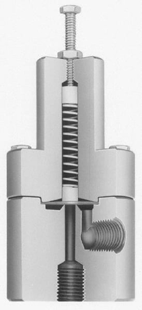 Plast-O-Matic RVDT150T-PV Diaphragm Relief Valve: 1-1/2" Inlet, 100 Max psi