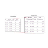 KANTEK INC. MAG27WL LCD Monitor Magnifier Filter for 27" Widescreen Flat Panel Monitor