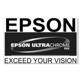 EPSON AMERICA, INC. T770720 T770720 (T770) UltraChrome PRO10 Ink, 25 mL, Gray