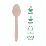 ECO-PRODUCTS,INC. EPS213W Wood Cutlery, General Purpose Spoon, Natural, 500/Carton