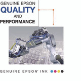 EPSON AMERICA, INC. T060320S T060320-S (60) DURABrite Ink, 450 Page-Yield, Magenta