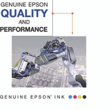 EPSON AMERICA, INC. T302420S T302420-S (T302) Claria Ink, Yellow