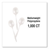 BERK ENTERPRISES INC Berkley Square 1014000 Mediumweight Polypropylene Cutlery, Soup Spoon, Plastic, White, 1,000/Carton