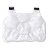 TENACIOUS HOLDINGS, INC. ergodyne® 12201 Chill-Its 6220 Phase Change Cooling Vest Charge Packs, Small/Medium, 16.25 x 12, 2/Pack