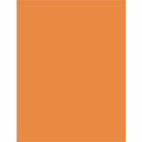 Dixon Ticonderoga Company Dixon 104318 Pacon Neon Bond Paper - Orange