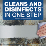 Procter & Gamble Spic and Span 75353CT Spic and Span 3-in-1 Cleaner Procter & Gamble Spic and Span 75353CT Spic and Span 3-in-1 Cleaner