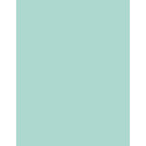 Sparco Products Sparco 05121 Sparco Premium Copy Paper - Blue Sparco Products Sparco 05121 Sparco Premium Copy Paper - Blue