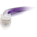 C2G 04211 C2G 1ft Cat6 Non-Booted Unshielded (UTP) Ethernet Cable - Cat6 Network Patch Cable - PoE - Purple