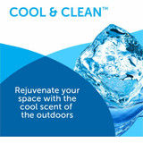 BPG International, Inc Bright Air 900090CT Bright Air Super Odor Eliminator Air Freshener