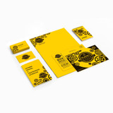 Neenah Paper, Inc Astrobrights 22731 Astrobrights Colored Cardstock - Solar Yellow