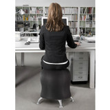 Safco Products Safco 4750BL Safco Zenergy Ball Chair