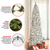 National Tree Company National Tree 729083275036 National Tree First Traditions Christmas Tree - Clear