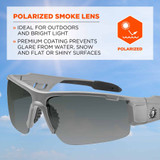Tenacious Holdings, Inc Skullerz 52131 Skullerz Dagr PZ Smoke Safety Glasses