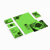 Neenah Paper, Inc Astrobrights 21811 Astrobrights Color Cover Stock - Green Neenah Paper, Inc Astrobrights 21811 Astrobrights Color Cover Stock - Green