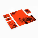 Neenah Paper, Inc Astrobrights 22761 Astrobrights Colored Cardstock - Orange