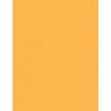 Sparco Products Sparco 05125 Sparco Premium Copy Paper - Goldenrod