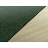 Flagship Carpets, LLC Flagship Carpets TS76EG Flagship Carpets Amerisoft Solid Color Rug