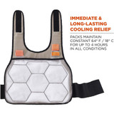 Tenacious Holdings, Inc Chill-Its 12000 Chill-Its 6230 Safety Vest