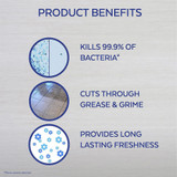 Reckitt Benckiser plc Lysol 88786CT Lysol Clean/Fresh Lavender Cleaner