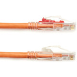 Black Box Corporation Black Box C6PC70-OR-06 Black Box GigaTrue 3 Cat.6 UTP Patch Network Cable