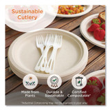 WORLD CENTRIC ASPSTN TPLA Wrapped Cutlery, Fork/Knife/Napkin/Spoon, Plastic, White, 250/Carton
