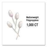BERK ENTERPRISES INC Berkley Square 1013000 Mediumweight Polypropylene Cutlery, Spoon, Plastic, White, 1,000/Carton