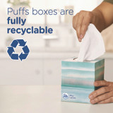 PROCTER & GAMBLE Puffs® 39346 Plus Lotion Facial Tissue, 2-Ply, White, 124 Sheets/Box, 24 Boxes/Carton
