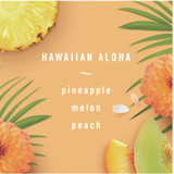 PROCTER & GAMBLE Febreze® 54345 PLUG Air Freshener Refills, Hawaiian Aloha, 0.87 oz, 3/Pack